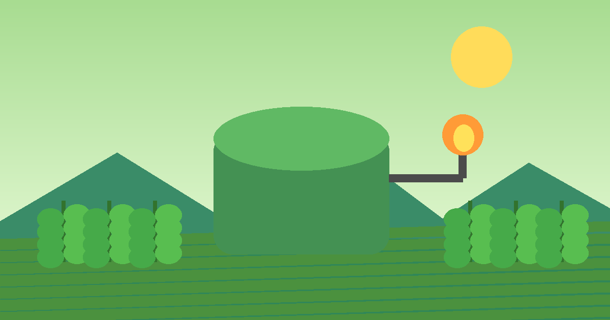 Future Outlook: how biomass turns organic waste into useful energy